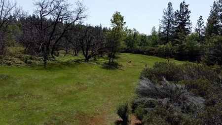 El Dorado County, California Land For Sale - image 9