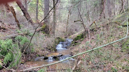 El Dorado County, California Land For Sale - image 30