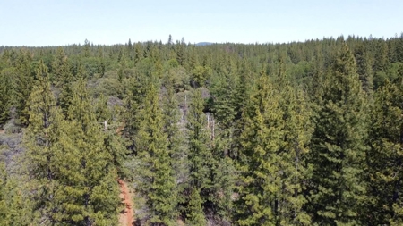 El Dorado County, California Land For Sale - image 6