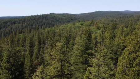 El Dorado County, California Land For Sale - image 4
