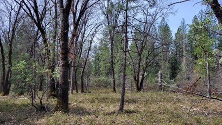 El Dorado County, California Land For Sale - image 27