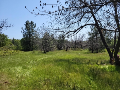El Dorado County, California Land For Sale - image 26