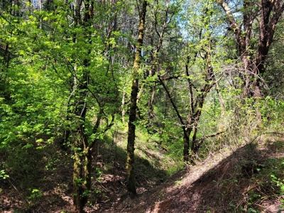 El Dorado County, California Land For Sale - image 20