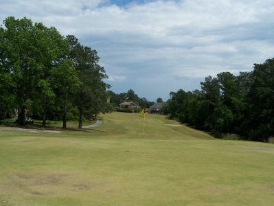 Woodlands Golf Course Property Columbia, South Carolina - image 26