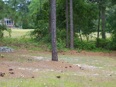 Woodlands Golf Course Property Columbia, South Carolina - image 22