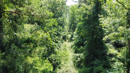 Timber & Hunting Land for Sale Jacksonville TX Cherokee Co - image 15