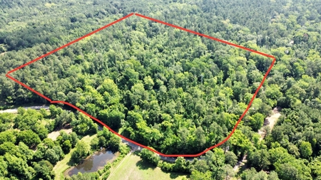 Timber & Hunting Land for Sale Jacksonville TX Cherokee Co - image 24
