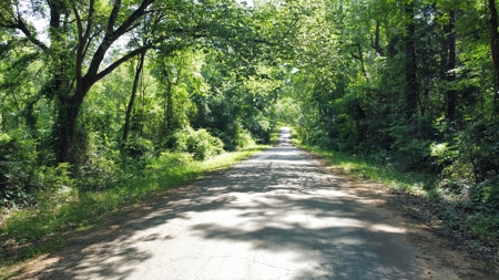 Timber & Hunting Land for Sale Jacksonville TX Cherokee Co - image 18