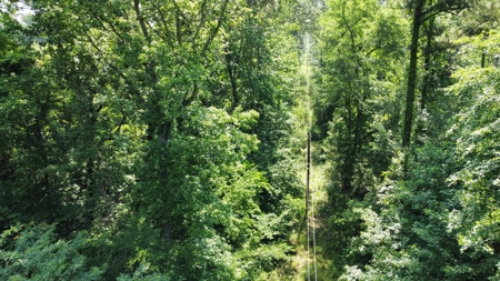 Timber & Hunting Land for Sale Jacksonville TX Cherokee Co - image 14