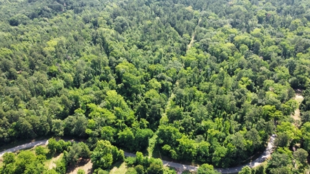 Timber & Hunting Land for Sale Jacksonville TX Cherokee Co - image 23