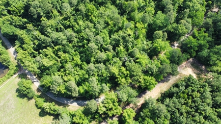 Timber & Hunting Land for Sale Jacksonville TX Cherokee Co - image 10