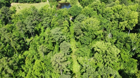 Timber & Hunting Land for Sale Jacksonville TX Cherokee Co - image 13