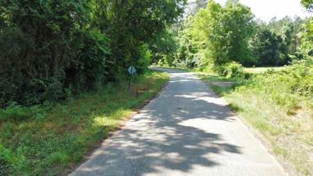 Timber & Hunting Land for Sale Jacksonville TX Cherokee Co - image 17
