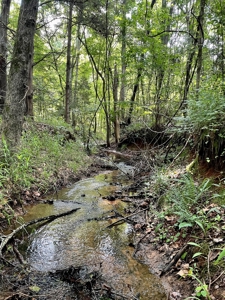 Timber & Hunting Land for Sale Jacksonville TX Cherokee Co - image 25