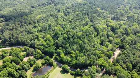 Timber & Hunting Land for Sale Jacksonville TX Cherokee Co - image 9