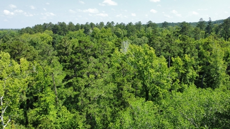 Timber & Hunting Land for Sale Jacksonville TX Cherokee Co - image 20