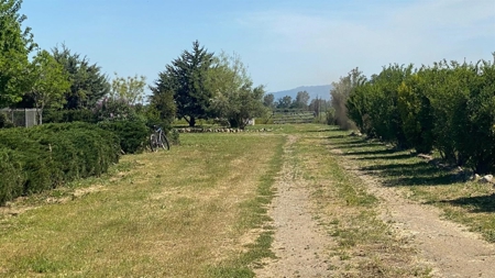 Northern California Farm and Ranch for sale. - image 2