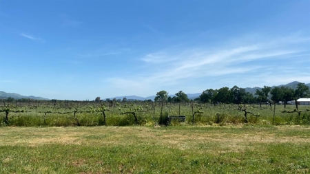 Northern California Farm and Ranch for sale. - image 4