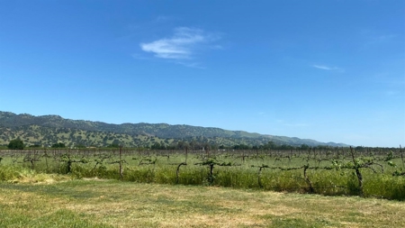 Northern California Farm and Ranch for sale. - image 5