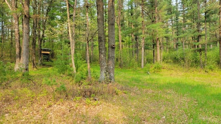 138+/- Wooded Turn-Key Acres Monroe County - image 38
