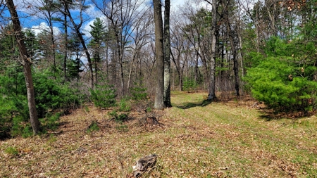 138+/- Wooded Turn-Key Acres Monroe County - image 25