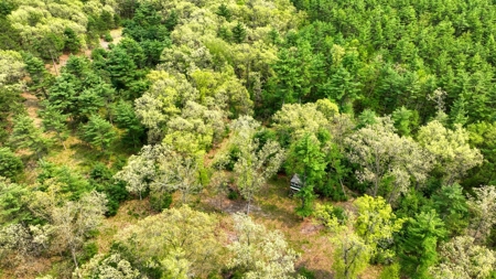 138+/- Wooded Turn-Key Acres Monroe County - image 5