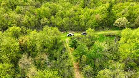 138+/- Wooded Turn-Key Acres Monroe County - image 1