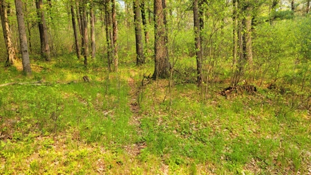 138+/- Wooded Turn-Key Acres Monroe County - image 40