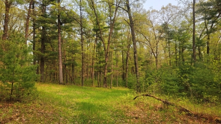 138+/- Wooded Turn-Key Acres Monroe County - image 30