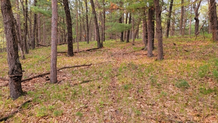 138+/- Wooded Turn-Key Acres Monroe County - image 47