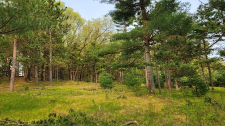 138+/- Wooded Turn-Key Acres Monroe County - image 44