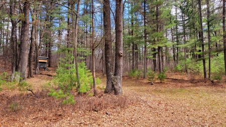 138+/- Wooded Turn-Key Acres Monroe County - image 21