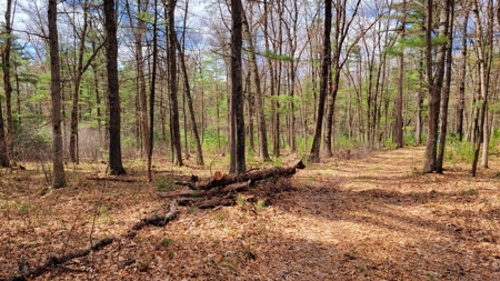 138+/- Wooded Turn-Key Acres Monroe County - image 12