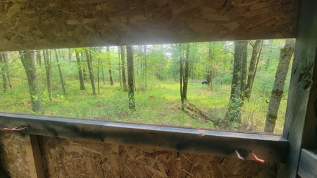 138+/- Wooded Turn-Key Acres Monroe County - image 41