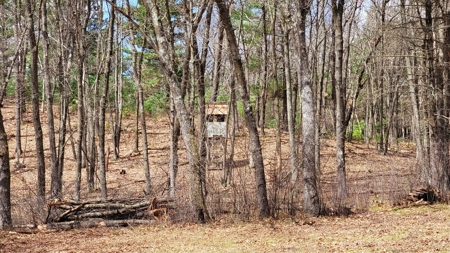 138+/- Wooded Turn-Key Acres Monroe County - image 15