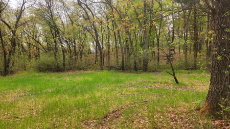 138+/- Wooded Turn-Key Acres Monroe County - image 33
