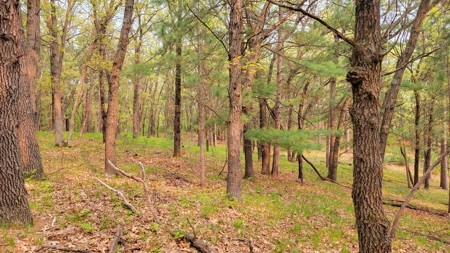 138+/- Wooded Turn-Key Acres Monroe County - image 45