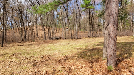 138+/- Wooded Turn-Key Acres Monroe County - image 14