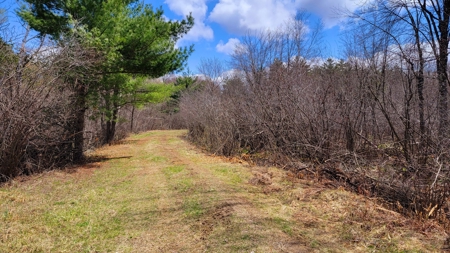 138+/- Wooded Turn-Key Acres Monroe County - image 26