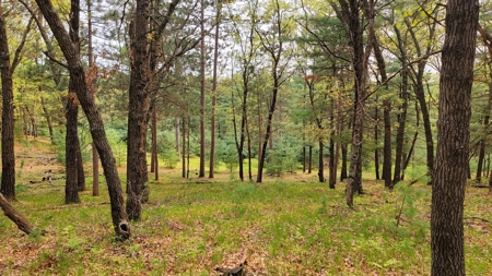 138+/- Wooded Turn-Key Acres Monroe County - image 46