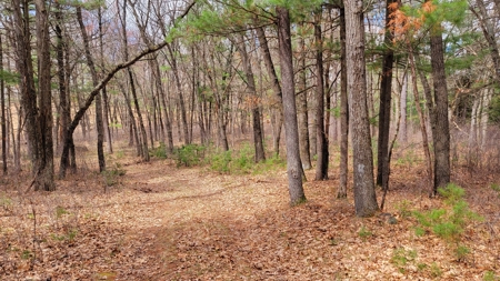 138+/- Wooded Turn-Key Acres Monroe County - image 16