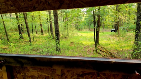 138+/- Wooded Turn-Key Acres Monroe County - image 42