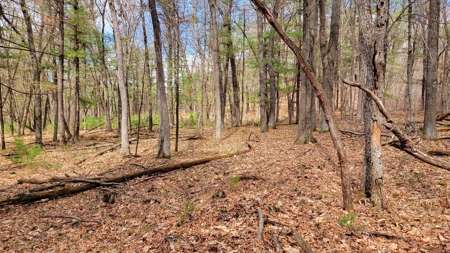 138+/- Wooded Turn-Key Acres Monroe County - image 13