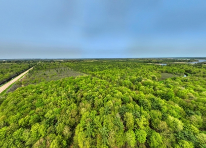 138+/- Wooded Turn-Key Acres Monroe County - image 2