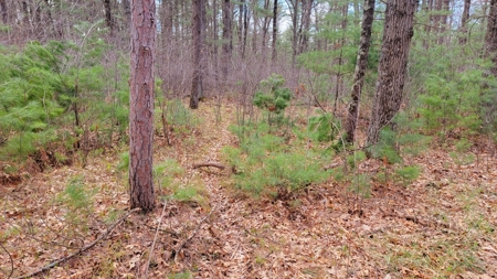138+/- Wooded Turn-Key Acres Monroe County - image 19