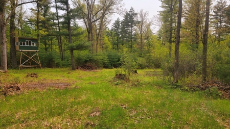 138+/- Wooded Turn-Key Acres Monroe County - image 28
