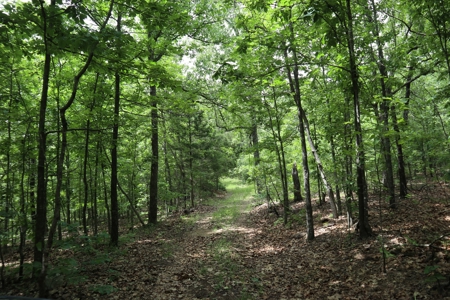 Acreage Near Ash Flat Arkansas - image 13