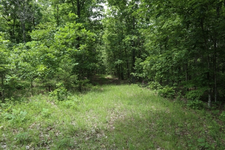 Acreage Near Ash Flat Arkansas - image 7