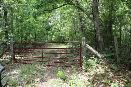 Acreage Near Ash Flat Arkansas - image 18