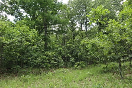 Acreage Near Ash Flat Arkansas - image 4